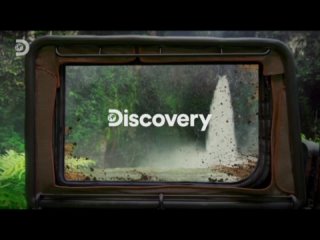 scammers. featured (discovery) 12